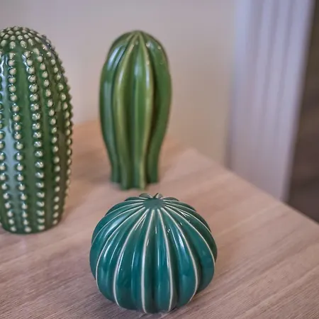 Bpr Cactus Design Budapest